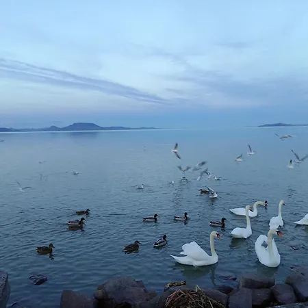 Lokomotiv Lägenhet *